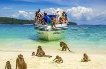 Phi Phi Sunrise Premium Tour