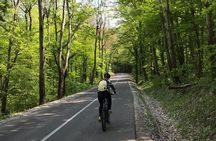 Avala & Kosmaj Bike Tour