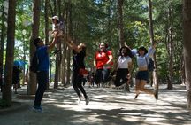 Private Tour: Nami Island& (Alpaca World 'or' Morning Calm)&Lunch