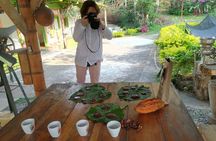 Chocolate Tour and tropical Fruits