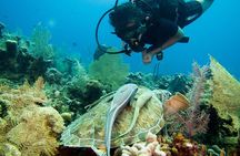 Cruise Excursion – 2 Scuba Dives with transport (for certified divers)