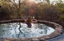 5 Day Katekani Lodge Kruger National Park Safari
