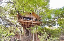 5 Day Lodge and Treehouse Kruger National Park Safari