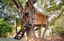 4 Day Lodge and Treehouse Kruger National Park Safari