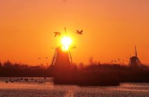 Kinderdijk Photography tour