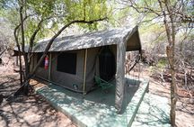 5 Day Budget Kruger National Park Safari