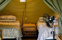 3 Day Budget Tent Kruger National Park Safari