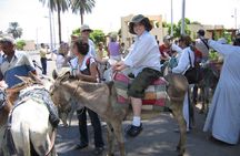 Camel Ride Tour In Luxor