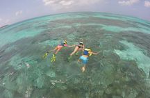 Coastline Snorkel and BBQ