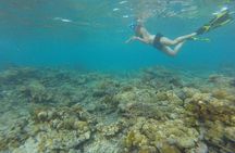 Coastline Snorkel and BBQ