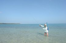 Fly Fishing Tour