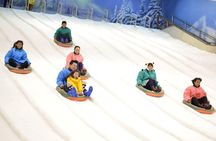 Dream World & Snow Town Theme Park Ticket - Hotel Pickup & Lunch