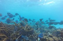 Snorkeling Tour (with Light Refreshments)