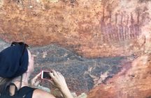 Explore ancient rock art on a private guided trip from Cape Town