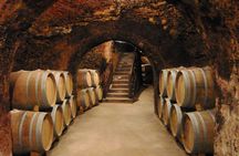 Madrid Countryside Wineries Guided Tour with Wine Tasting