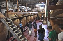 Madrid Countryside Wineries Guided Tour with Wine Tasting