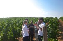 Madrid Countryside Wineries Guided Tour with Wine Tasting