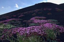 Etna Grantour - 4x4 & trekking - Private tour with lunch included