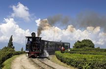 Eastern Himalaya (Darjeeling, Pelling, Gangtok & Kalimpong) 