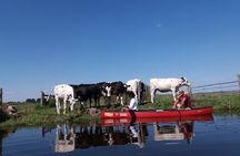 Guided Canoe Adventure with Picnic Lunch in Waterland from Amsterdam