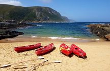 5 Day Garden Route Tour - Port Elizabeth to Cape Town