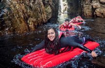 5 Day Garden Route Tour - Port Elizabeth to Cape Town