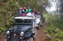 Serranía del Nudo, Nature and Coffee Tour