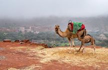 Desert Agafay and Atlas Mountains & Camel ride Day Trip From Marrakech