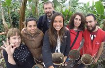 Full-Day Private Coffee Tour in Cocora Valley and Salento