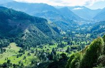 Full-Day Private Coffee Tour in Cocora Valley and Salento