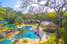 Bamboo Rafting, Zipline, Tubing + FREE Dune Buggy Tour