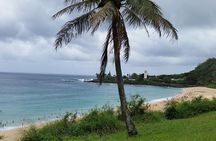 Circle Island 8hr Private Small Group Tour
