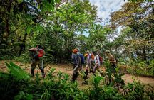 Private Mindo Cloud Forest Tour from Quito