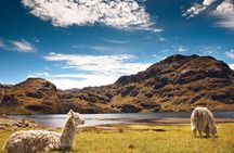 Private Cajas National Park Half-Day Tour from Cuenca