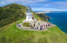 Far North New Zealand Tour Including 90 Mile Beach and Cape Reinga from Paihia