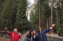 Semi Private Yosemite Tour with Ahwahnee Lunch and Hotel Pickup