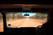 2 Day Daintree Rainforest and Chillagoe Outback Tour