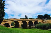 Tasmania 8 Day - Tour in Circle
