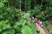2 Day Daintree Rainforest and Chillagoe Outback Tour