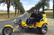 Unique Trike Barossa Valley Half Day Private Tour For 2