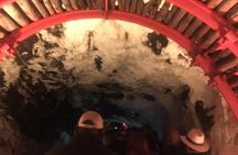 Private tour to the Salt Mine of Nemocón and Salt Cathedral of Zipaquirá