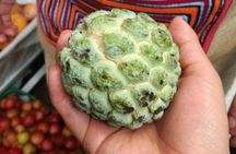 PALOQUEMAO MARKET FOOD TOUR. EXOTIC FRUIT. LOCAL SNACKS. /Min 2 pax