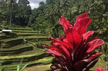 Balinese Life Style Tour