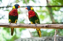 Kuala Lumpur Private Half-Day Family Tour of Nature, Birds and Butterflies