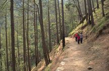 Binsar Sanctuary Walking Holiday