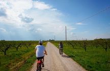 E-bike adventure among medieval castles and old villages