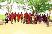Mikumi National Park(3Days)