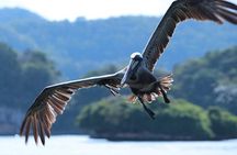Private Kayaking in Los Haitises with Tour guide from Caño Hondo