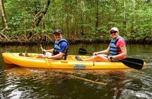 Private Kayaking in Los Haitises with Tour guide from Caño Hondo