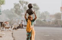 Day tour of agra by Superfast train including entrances ,lunch and guide